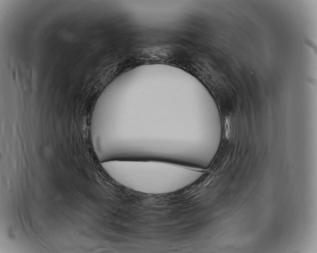 X0000097821395200803140755