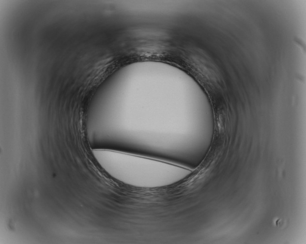 X0000097821396200803140755