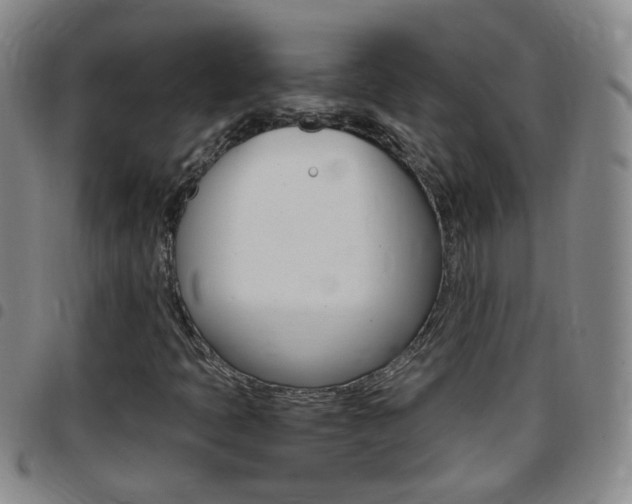 X0000097821397200803140755