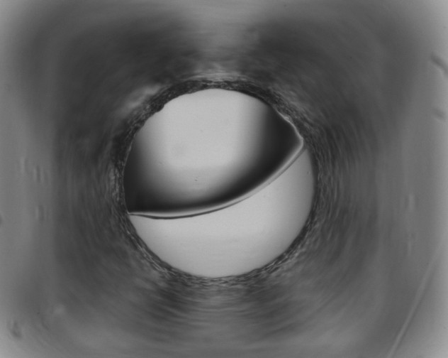 X0000097821398200803140755