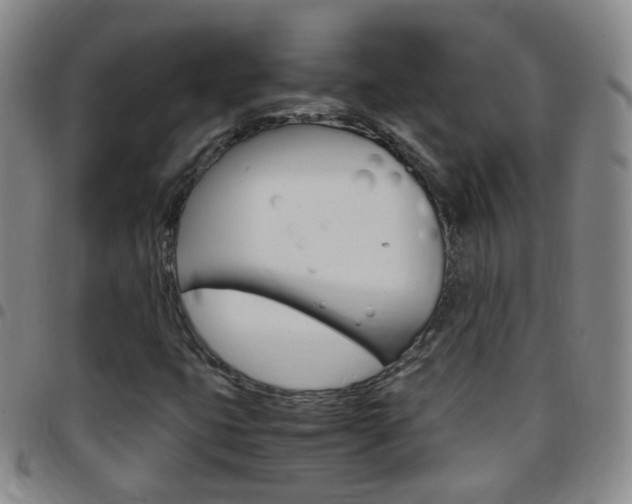 X0000097821399200803140755