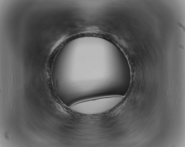 X0000097821400200803140755
