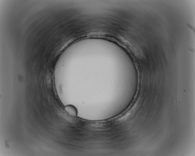 X0000097821401200803140755