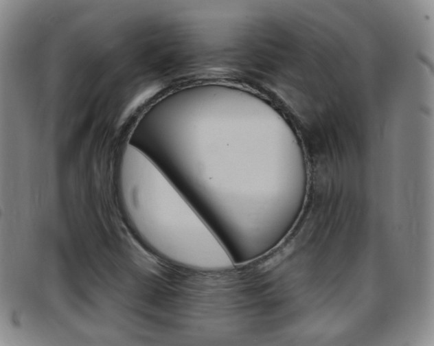 X0000097821402200803140755