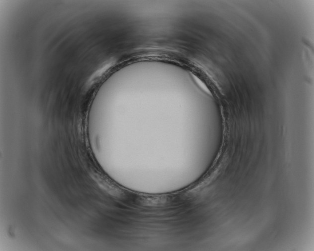 X0000097821403200803140756