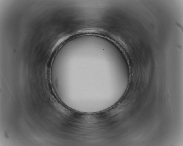 X0000097821404200803140756