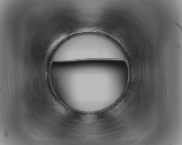 X0000097821406200803140756