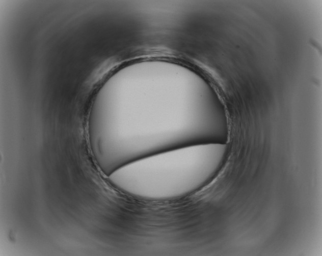 X0000097821407200803140756