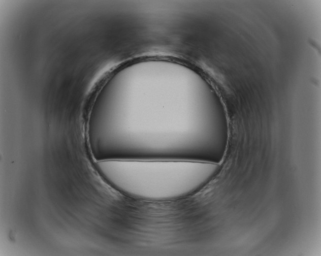X0000097821408200803140756