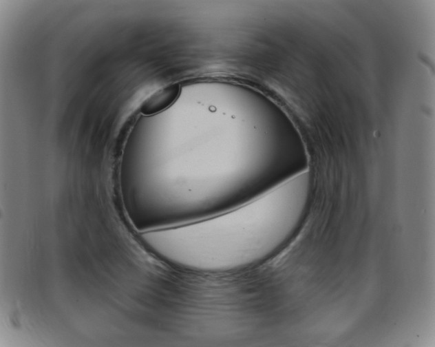 X0000097821410200803140756