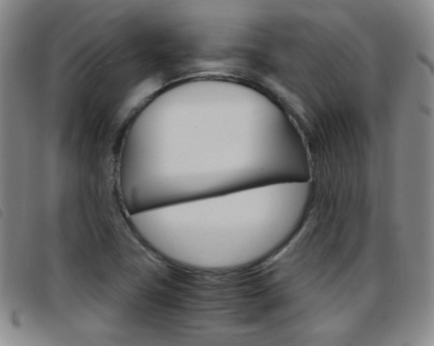 X0000097821411200803140756