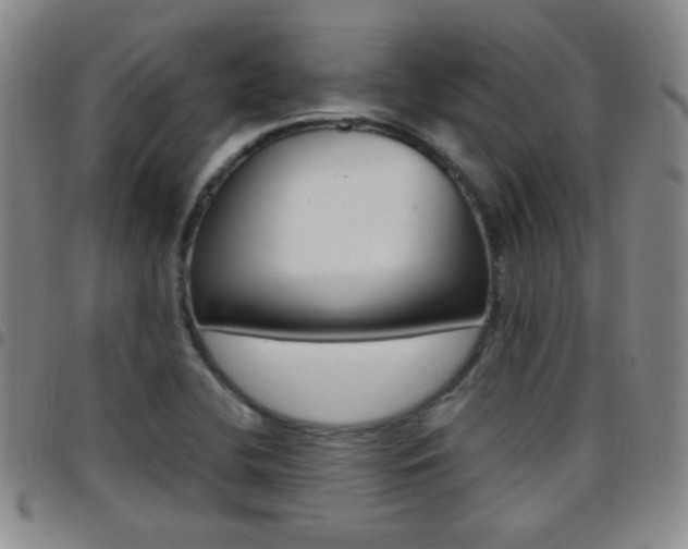 X0000097821412200803140756
