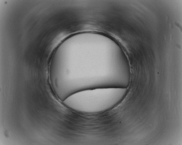 X0000097821415200803140756