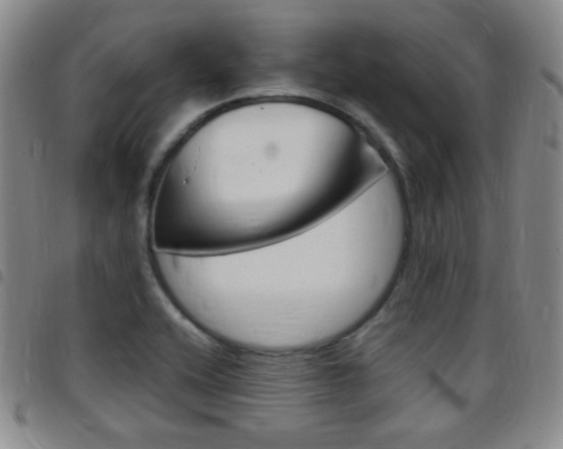 X0000097821416200803140756