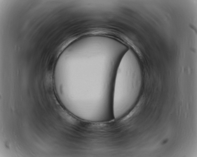 X0000097821417200803140756