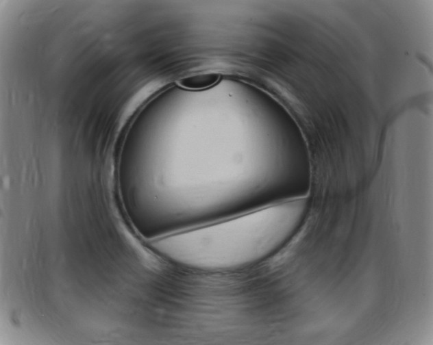X0000097821418200803140756