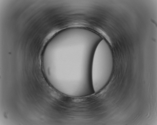 X0000097821419200803140756
