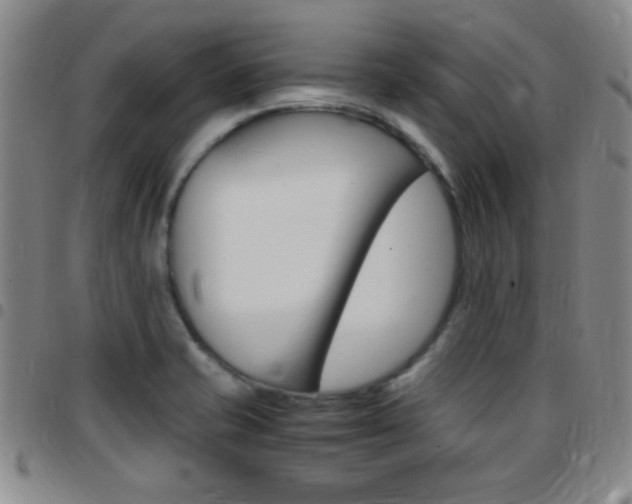X0000097821421200803140756