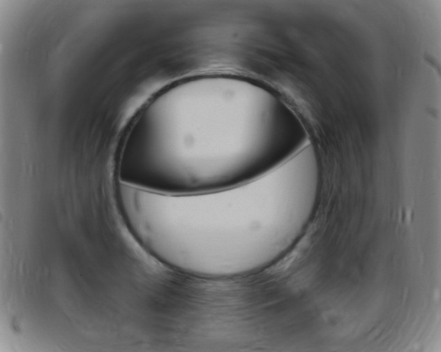 X0000097821422200803140756