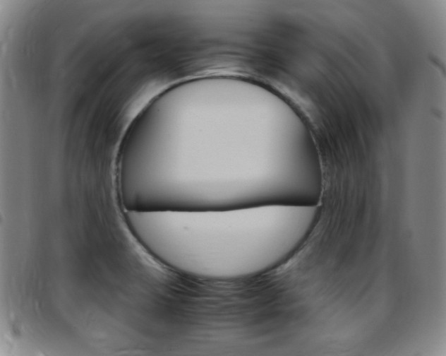 X0000097821423200803140756