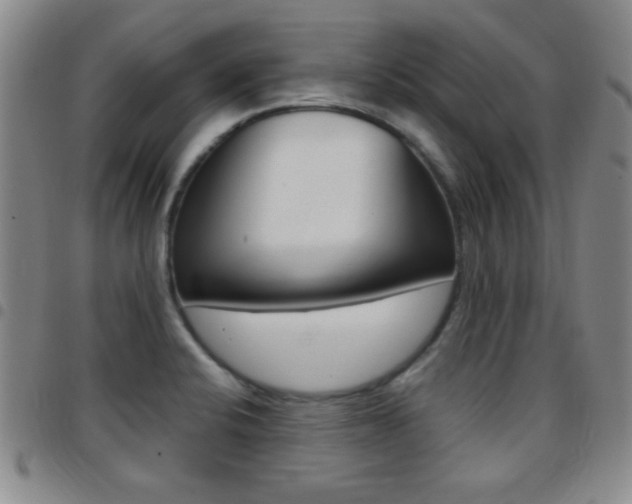 X0000097821424200803140756