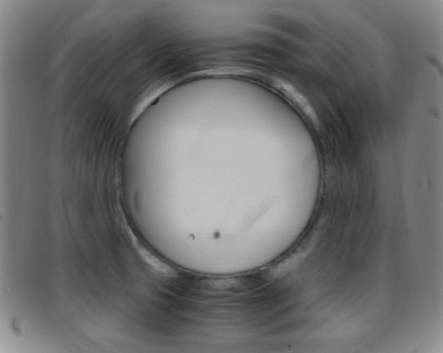 X0000097821425200803140756