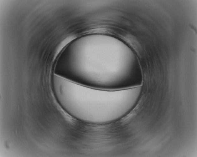 X0000097821426200803140756