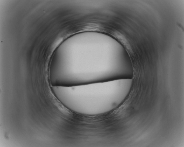 X0000097821427200803140756