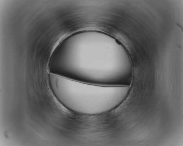 X0000097821428200803140756