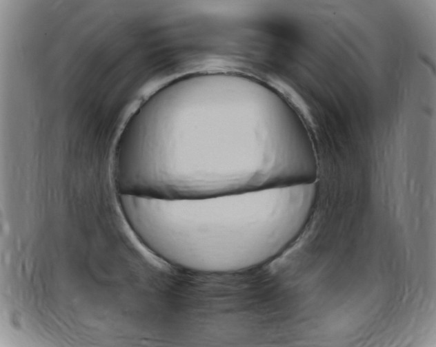 X0000097821429200803140756
