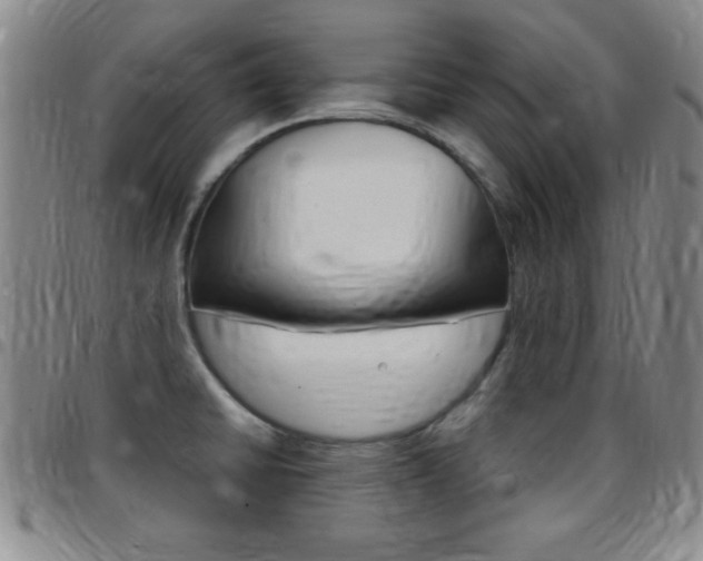 X0000097821430200803140756