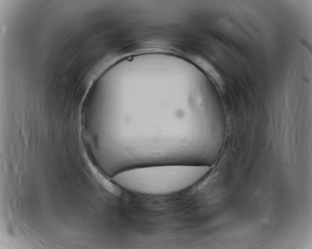 X0000097821431200803140756