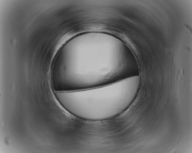 X0000097821432200803140756