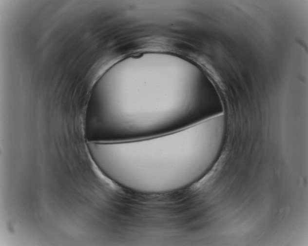 X0000097821433200803140756