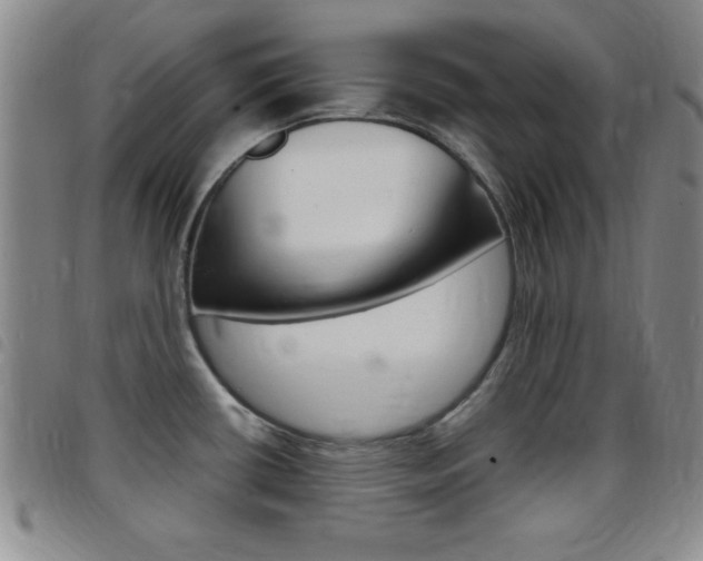 X0000097821434200803140756