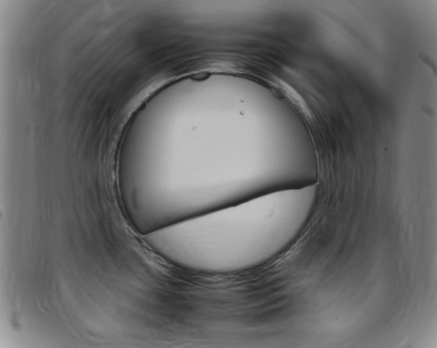 X0000097821435200803140756