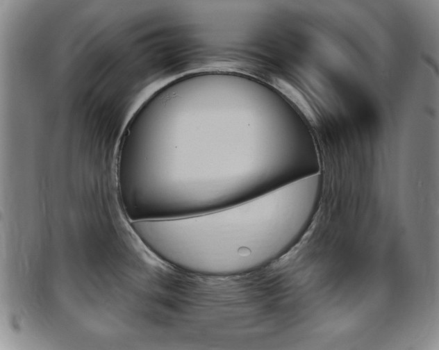 X0000097821436200803140756