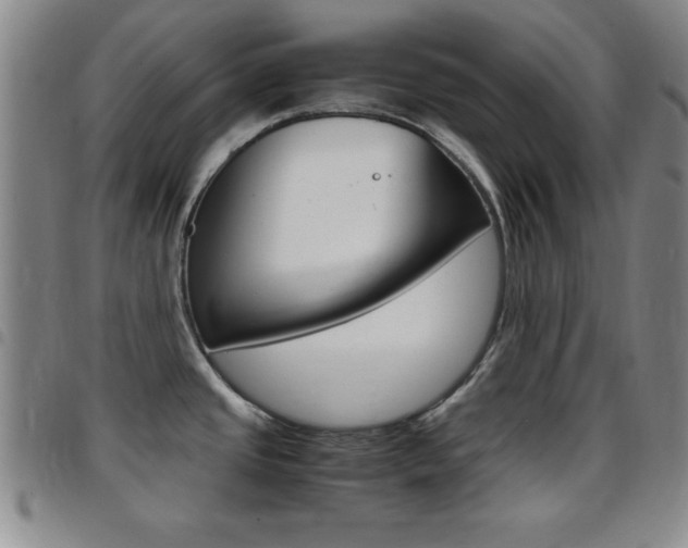 X0000097821437200803140756