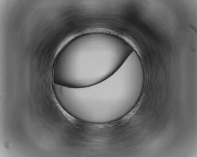 X0000097821438200803140756