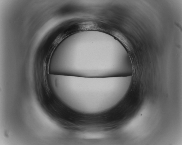X0000097821439200803140756