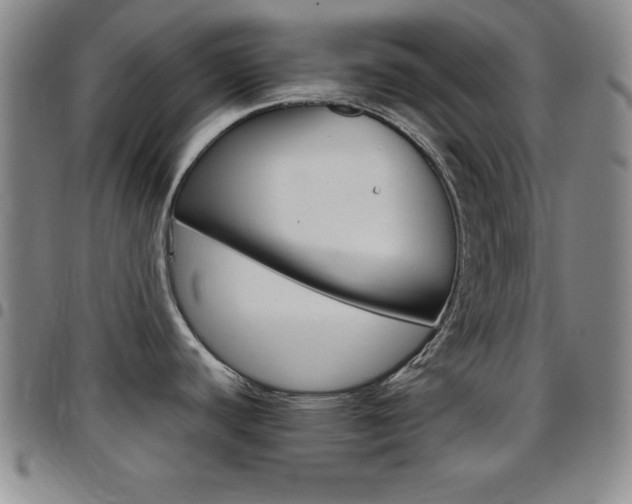 X0000097821440200803140756