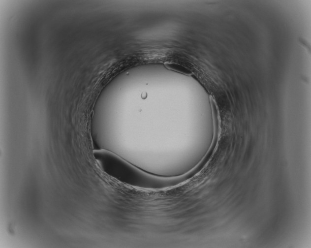 X0000097821441200803140755