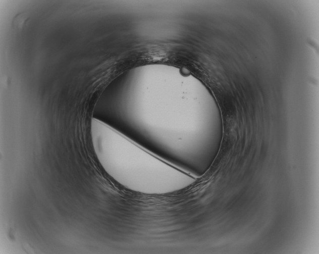 X0000097821442200803140755