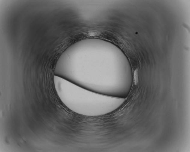 X0000097821443200803140755