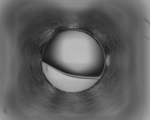 X0000097821444200803140755