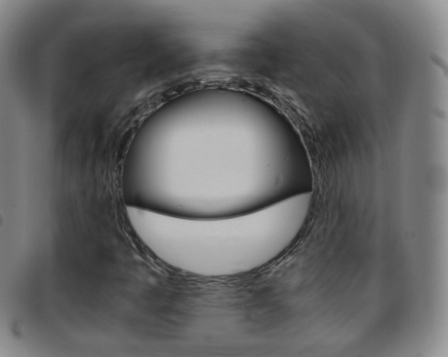 X0000097821445200803140755