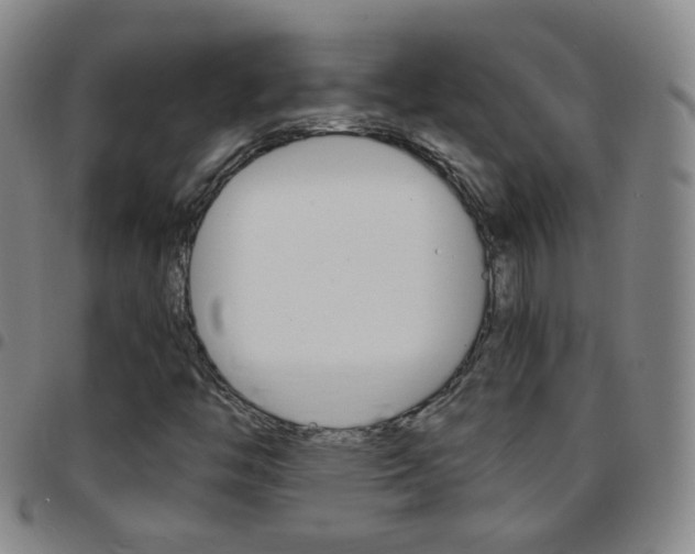 X0000097821446200803140755
