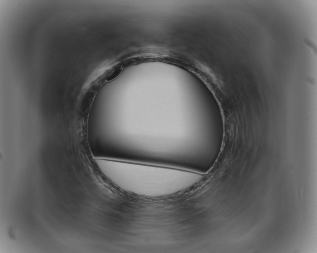 X0000097821448200803140755