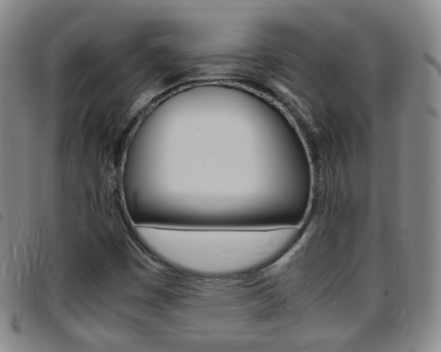X0000097821449200803140755
