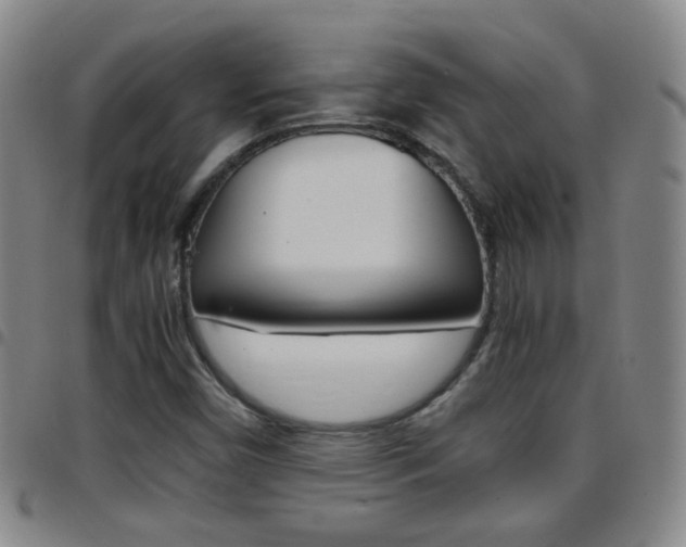 X0000097821450200803140755